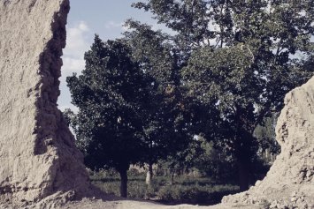 Natur